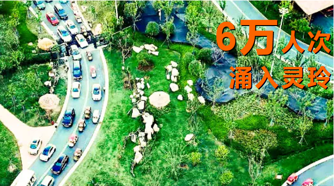 <a href="./xwdt/wlyw/202608/t20260824_780209.html">华中顶流！6万人次涌入鄂州灵玲，自驾排队排到“非洲草原”！</a>